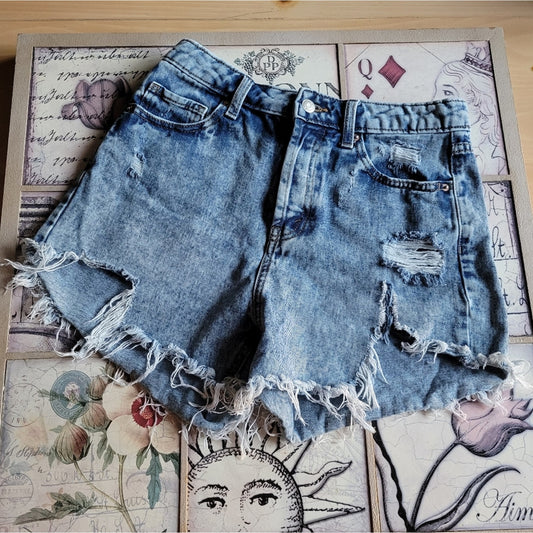 Wild Fable High Rise Distressed Shorts