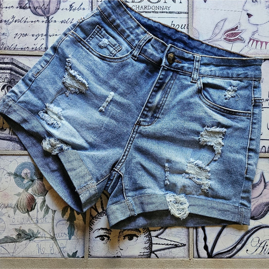 Stretchy Distressed Cute Jean Shorts